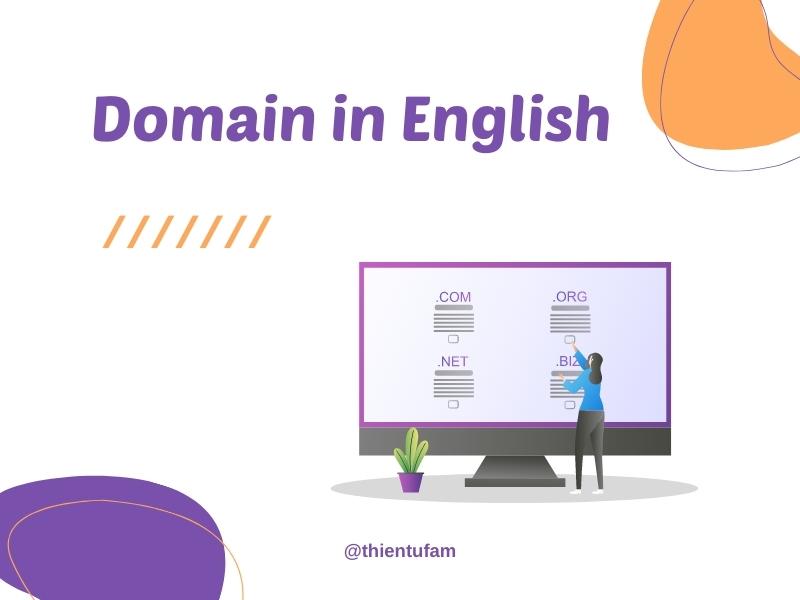 Sử dụng Domain trong tiếng Anh một cách hiệu quả nhất mà bạn chưa biết