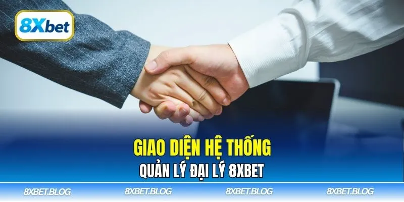 Giao diện hệ thống quản lý đại lý 8xbet